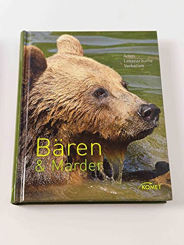 Bären & Marder: Arten, Lebensräume, Verhalten
