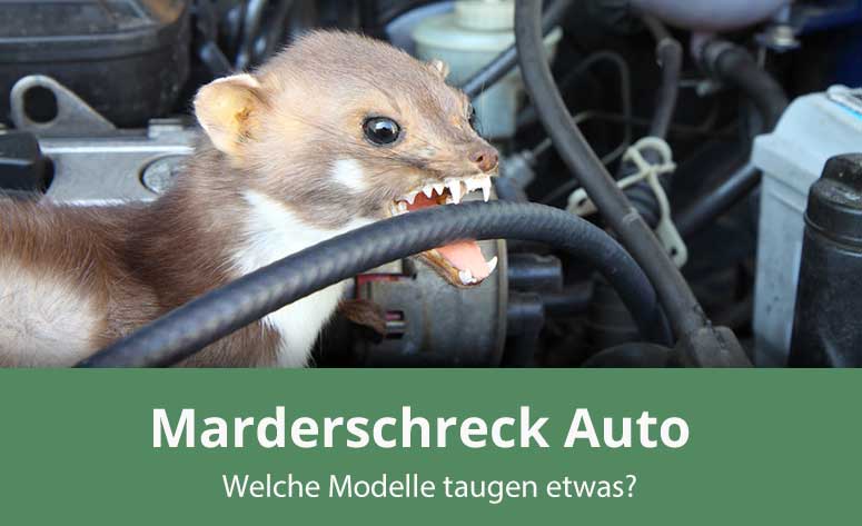 Mardergitter - Marderabwehr beim Auto - Marderschreck kaufen